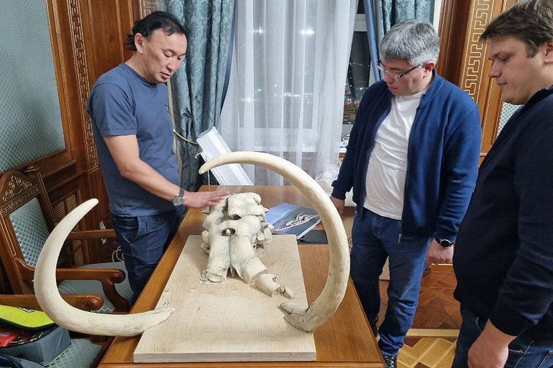 В Бурятии, в особой экономической зоне «Байкальская гавань», планируют построить отель в виде головы мамонта