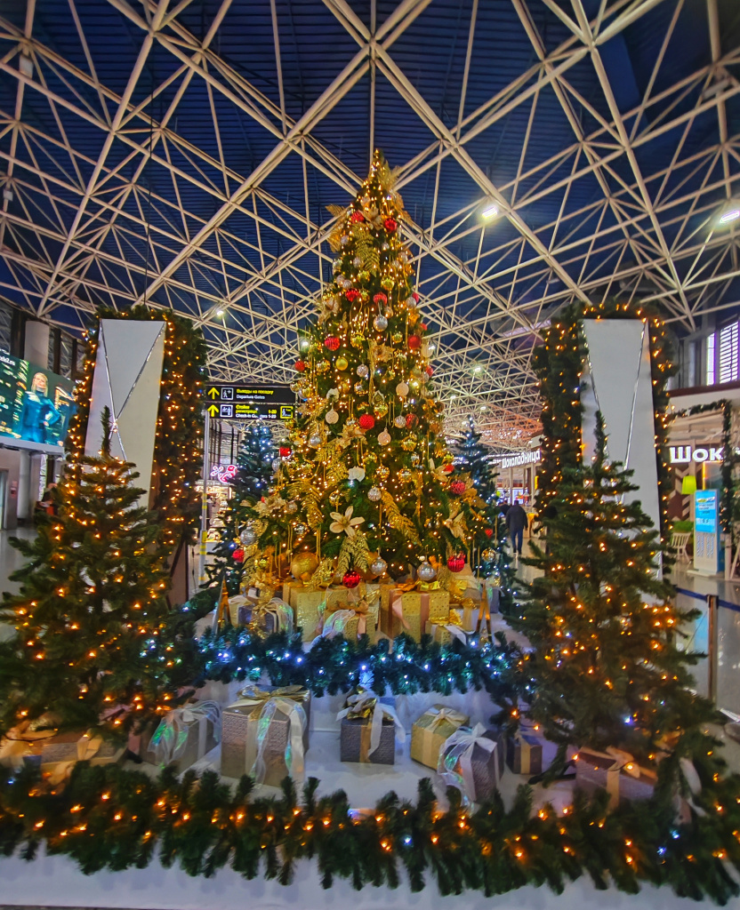 В самом центре пассажирского терминала аэропорта Сочи стоит красавица-елочка - это место для фотосессий 