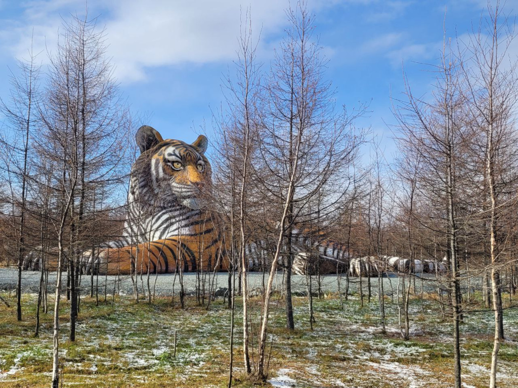 На Сахалине появилась самая большая в России скульптура тигра 